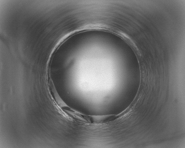 X0000054361192200508191811