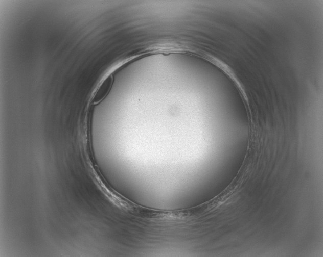 X0000054361195200508191811