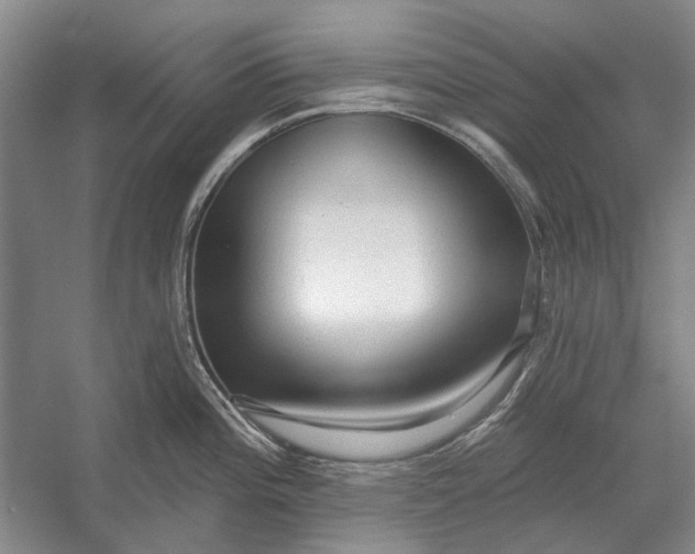 X0000054361196200508191811
