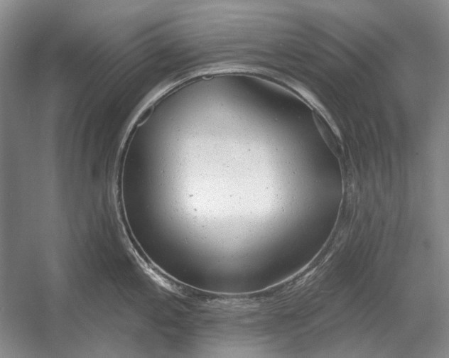 X0000054361197200508191811