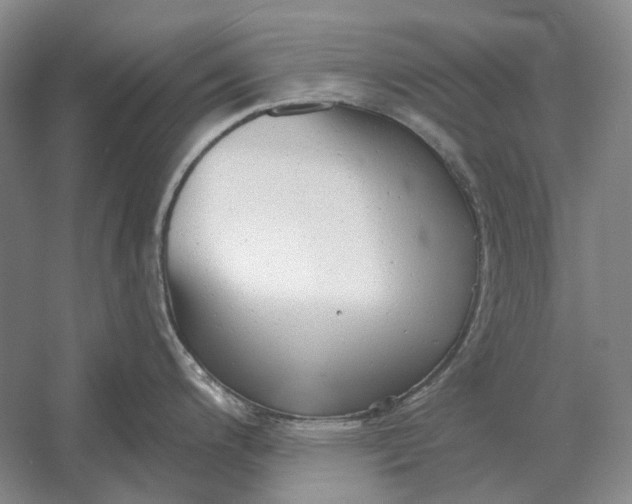 X0000054361200200508191811