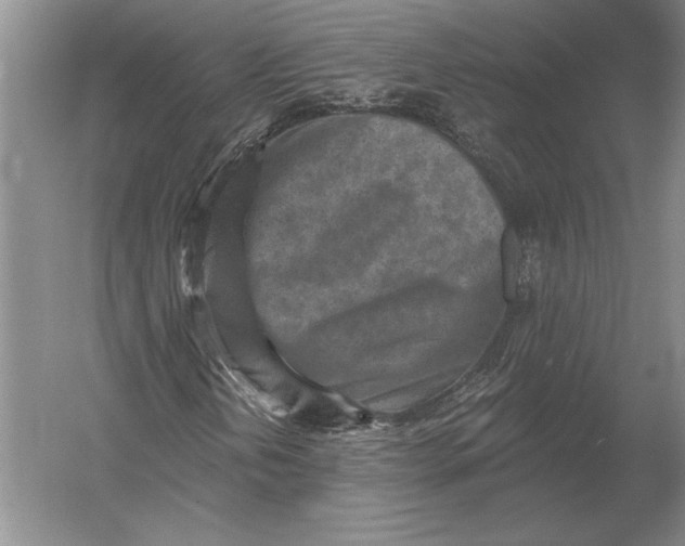 X0000054361202200508191810