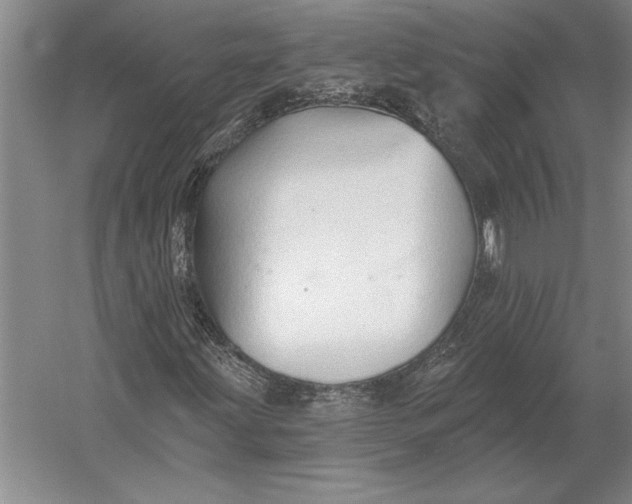 X0000054361203200508191810