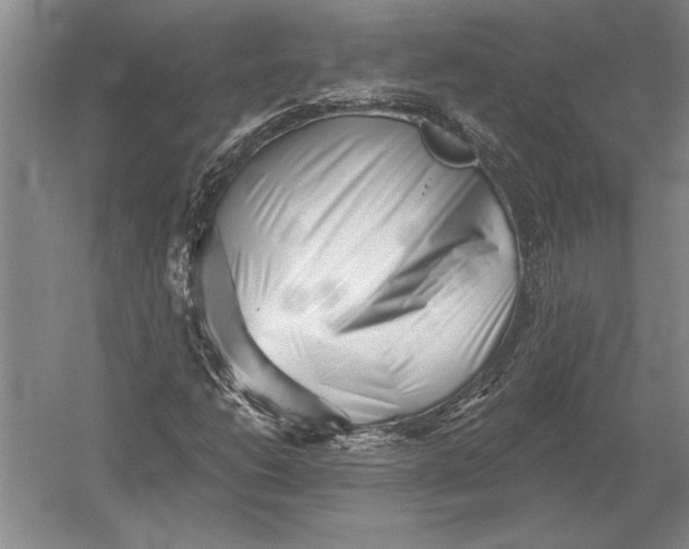 X0000054361206200508191810