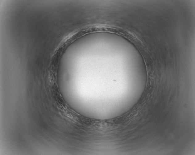 X0000054361207200508191810