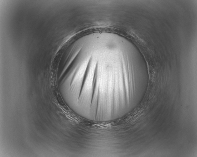 X0000054361208200508191810