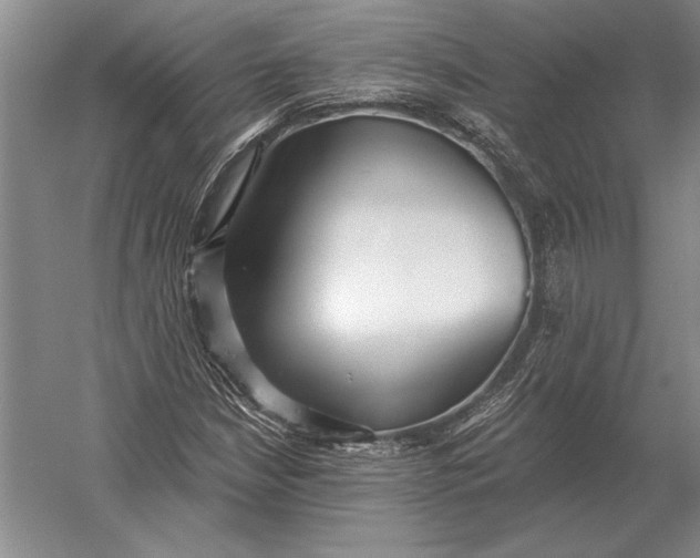 X0000054361210200508191810