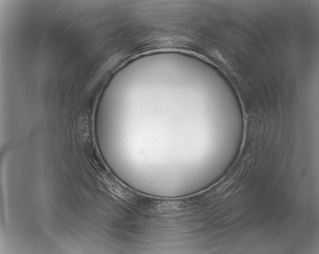 X0000054361211200508191810