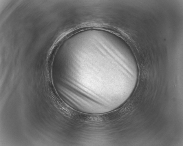 X0000054361215200508191810