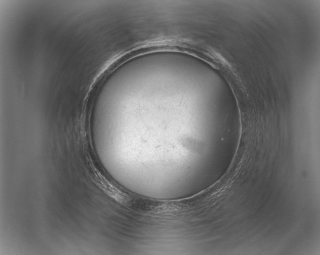 X0000054361216200508191811