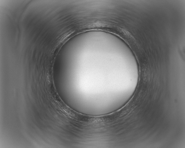 X0000054361217200508191811