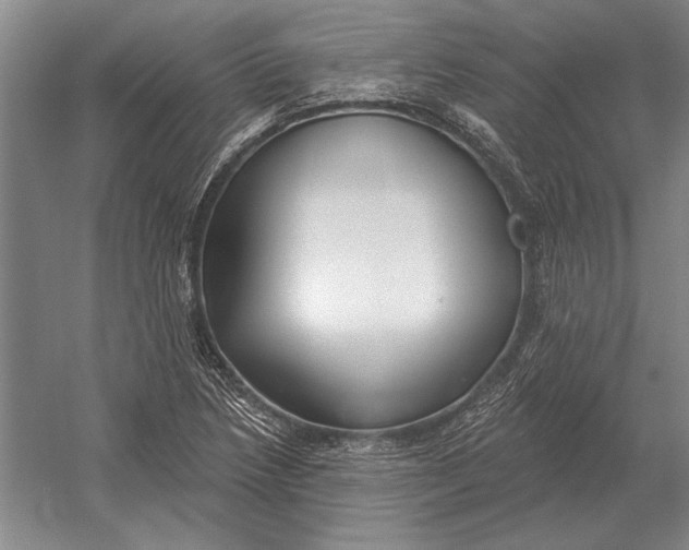 X0000054361218200508191811