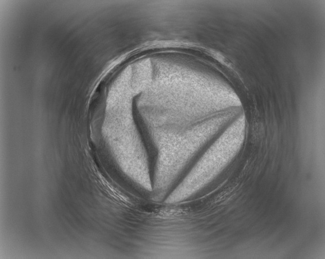 X0000054361221200508191811