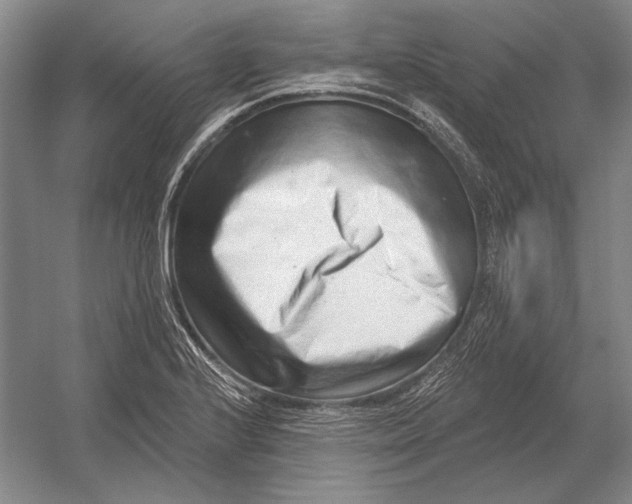 X0000054361224200508191811