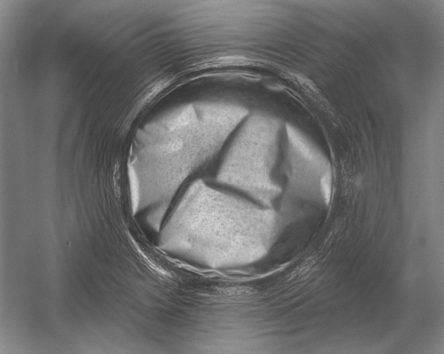X0000054361225200508191811