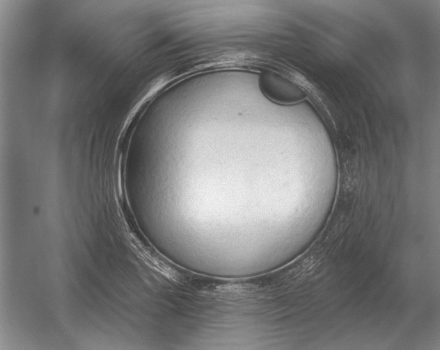 X0000054361227200508191811