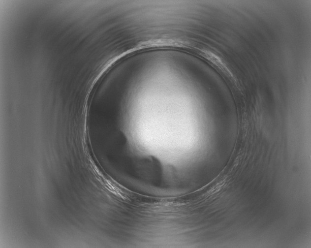 X0000054361228200508191811
