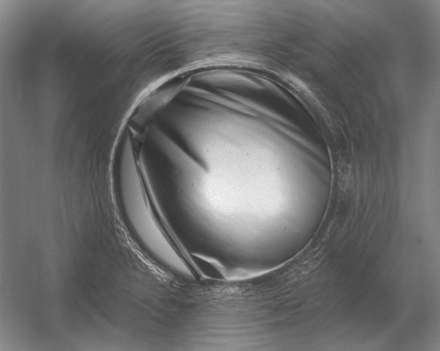 X0000054361230200508191811