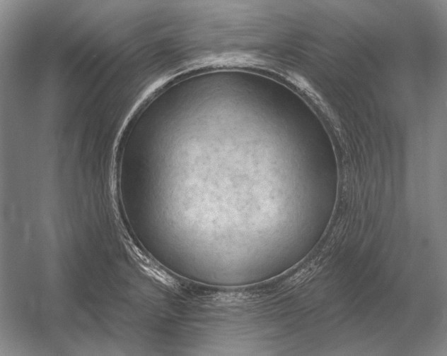 X0000054361232200508191811