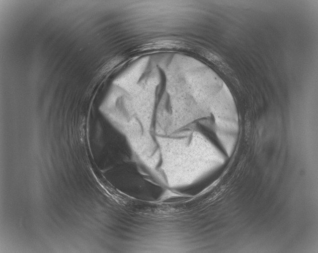 X0000054361233200508191811