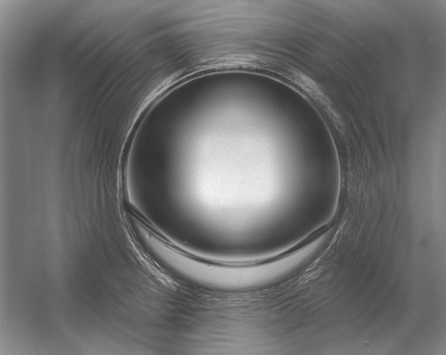 X0000054361234200508191811