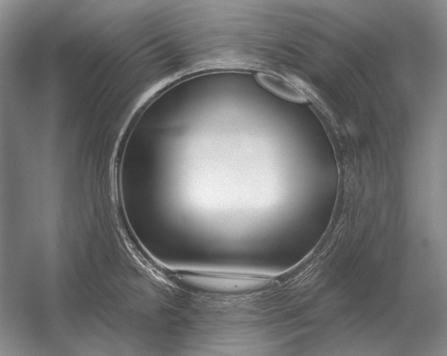 X0000054361238200508191811