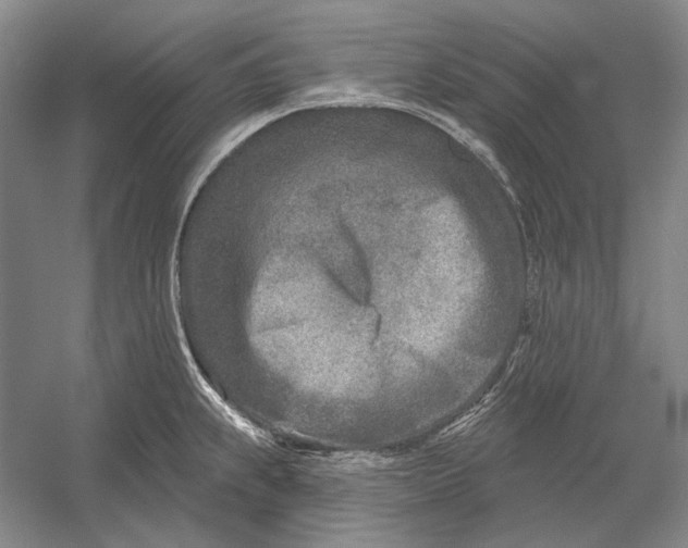 X0000054361239200508191811