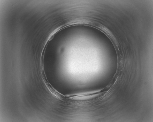 X0000054361242200508191811