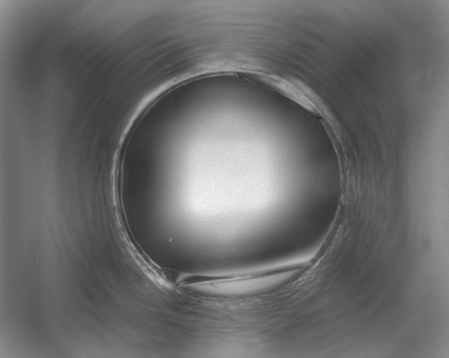 X0000054361246200508191811