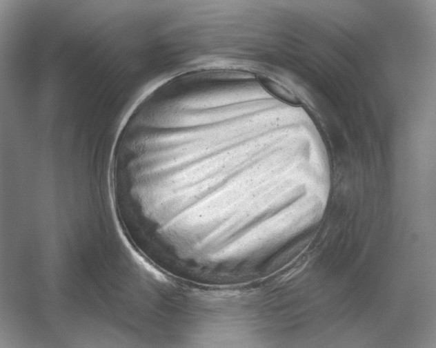 X0000054361247200508191811