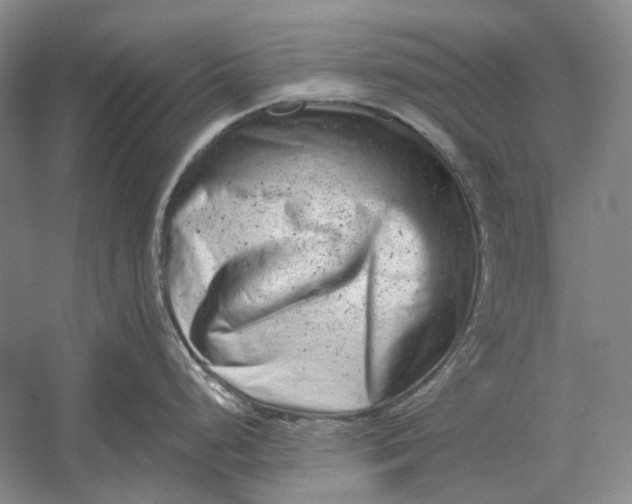 X0000054361248200508191811