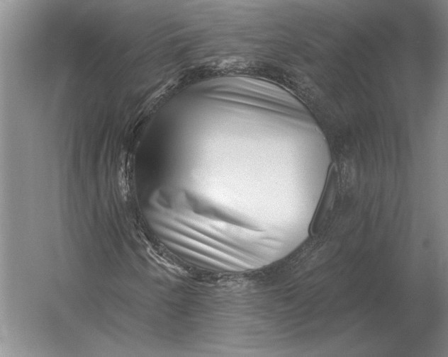 X0000054361250200508191810