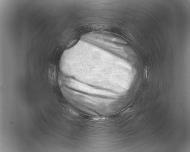 X0000054361251200508191810