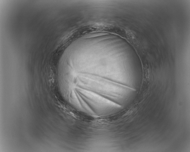 X0000054361253200508191810