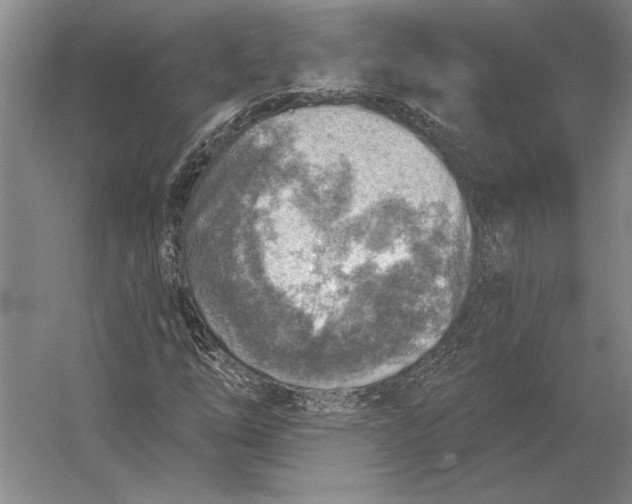 X0000054361254200508191810