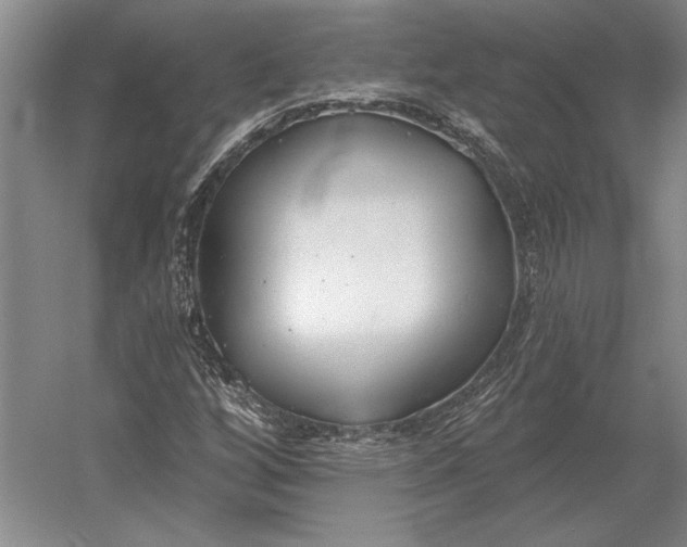 X0000054361256200508191810