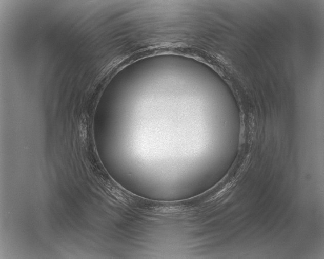 X0000054361257200508191810