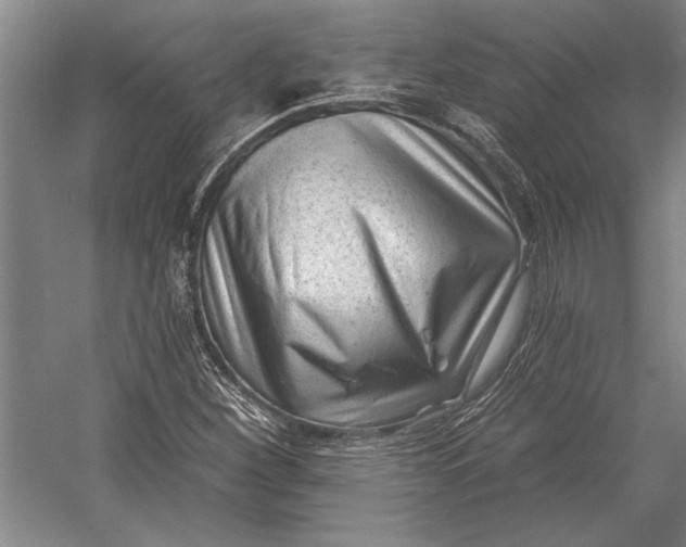 X0000054361260200508191810