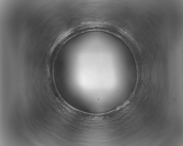 X0000054361261200508191810