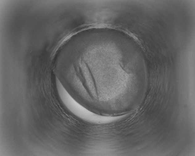X0000054361263200508191810