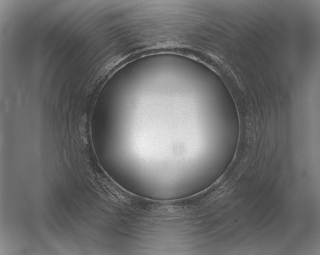 X0000054361265200508191810