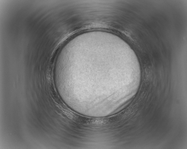 X0000054361266200508191810