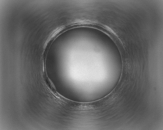 X0000054361269200508191810