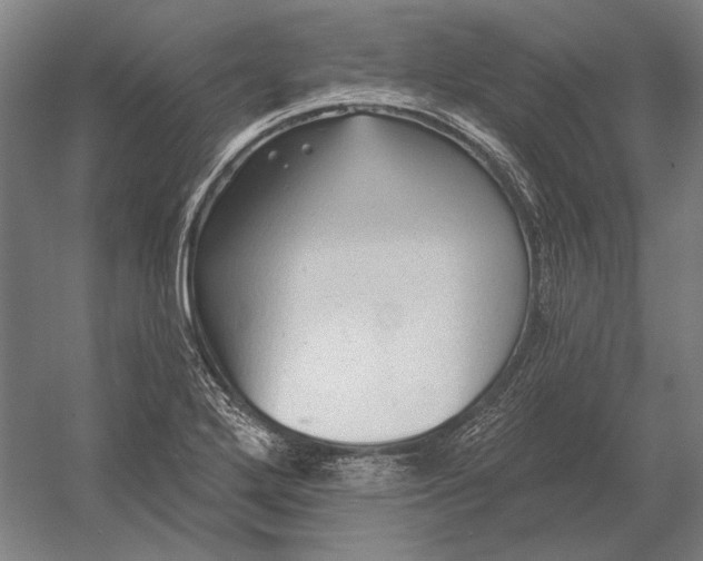 X0000054361272200508191810