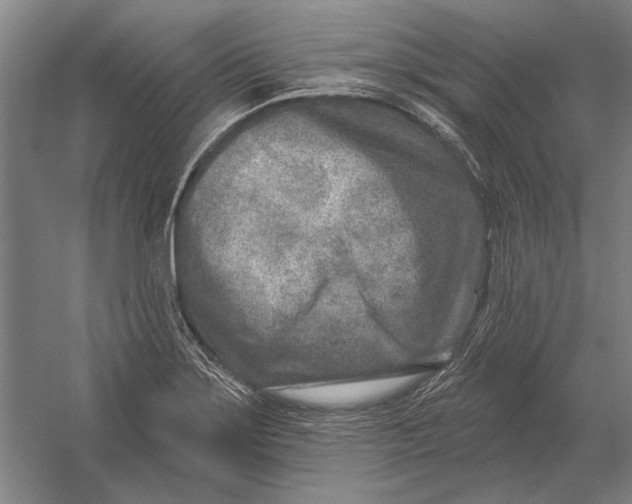 X0000054361275200508191810