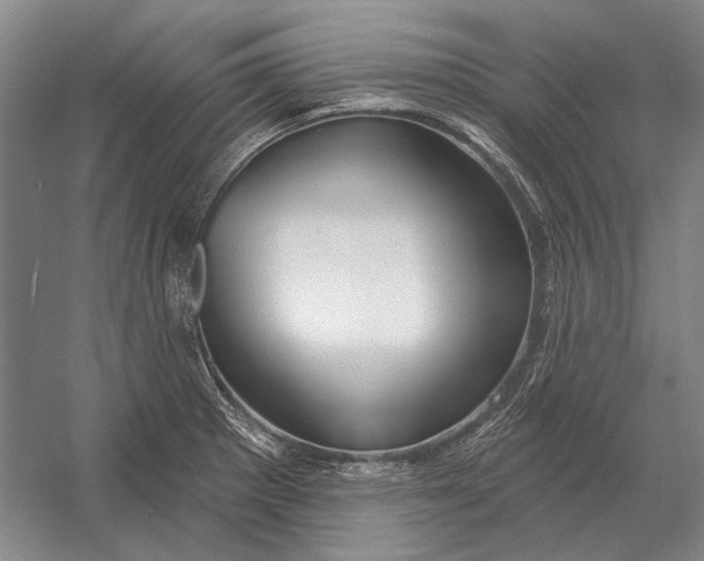 X0000054361281200508191810