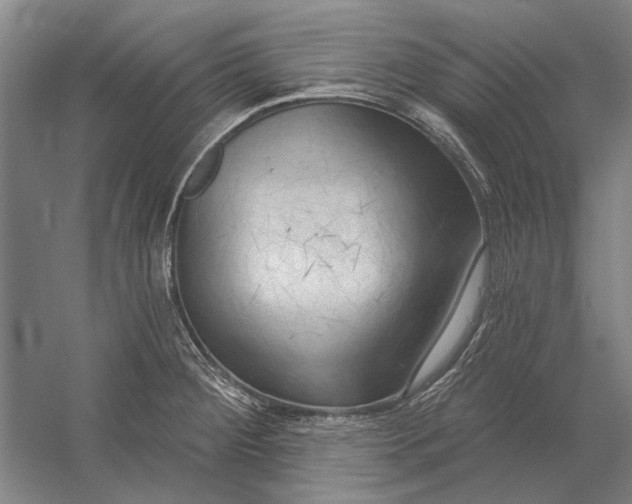 X0000054361284200508191810