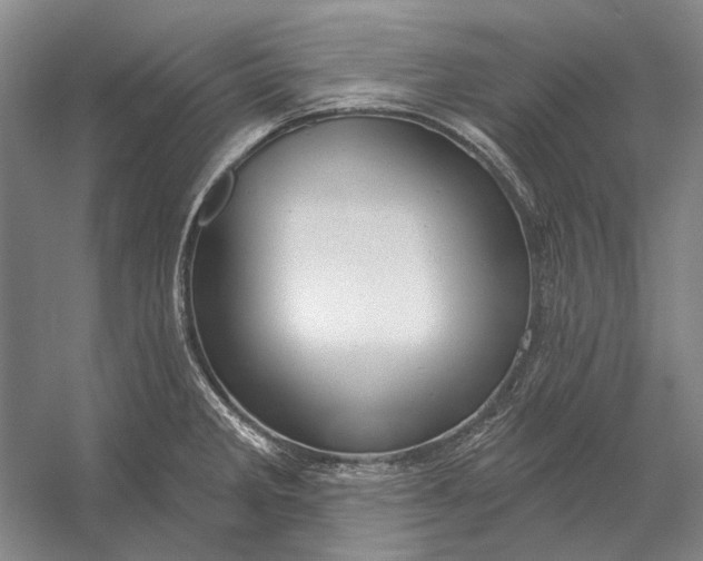 X0000054361285200508191810