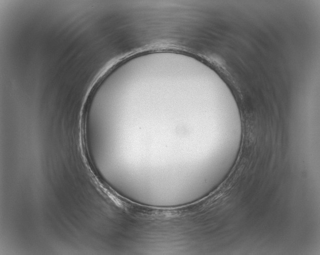 X0000054361286200508191810