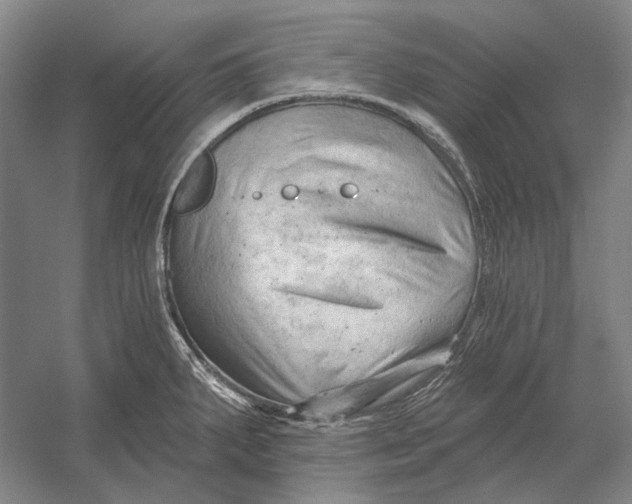 X0000054361287200508191810
